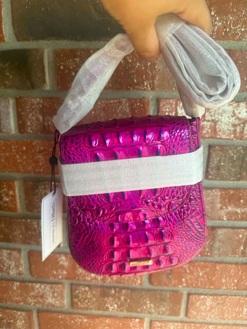 Brahmin Everlee